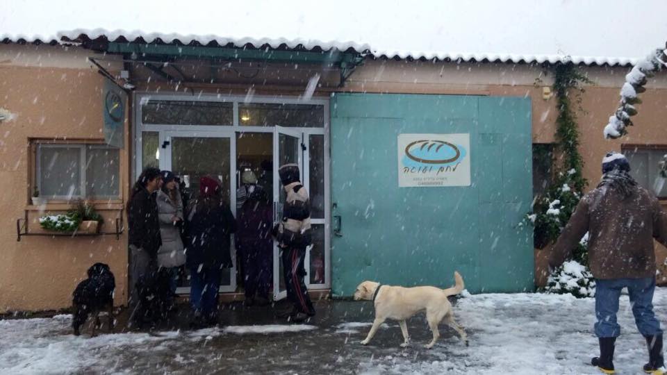   20.2.2015